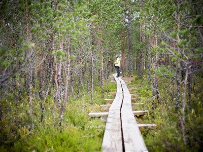 Estonsko a dobrodružná cesta kolem ostrova Saarema