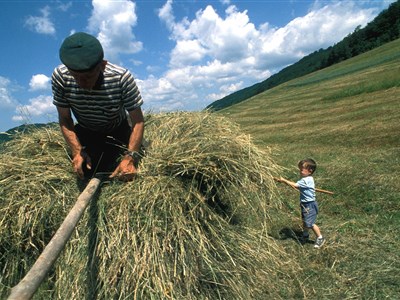 Záchrana šetrným cestovním ruchem - Banát a Podkarpatská Rus