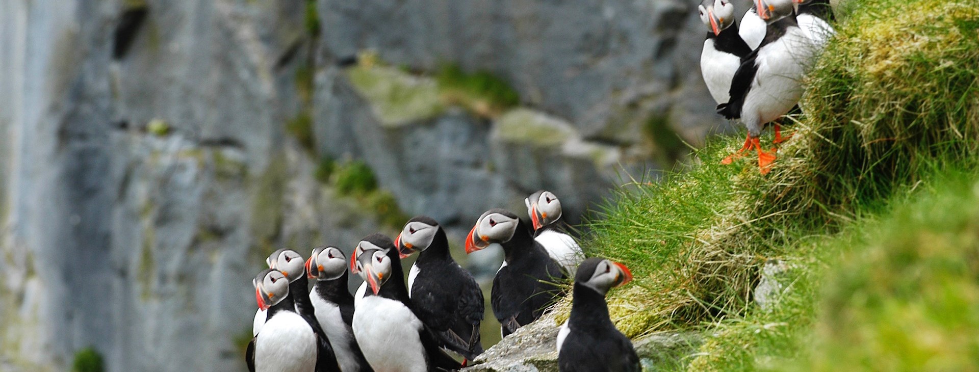 autor: Serenity Explorers