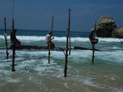 Srí Lanka – za vůní kari, čaje a tuk tuků