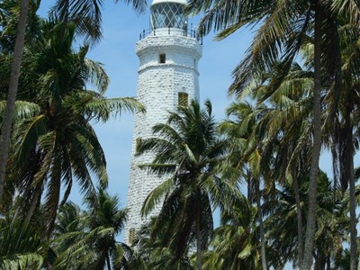 Srí Lanka – za vůní kari, čaje a tuk tuků