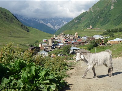 ONLINE - Gruzie na biku okem pravého dobrodurha