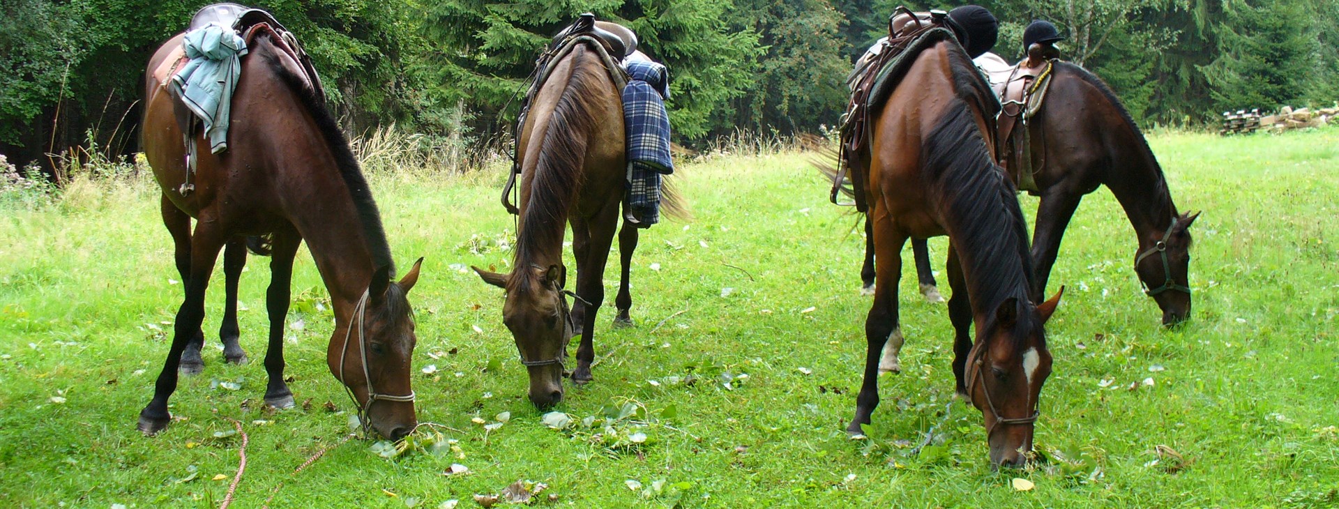 Putování na koních pro začátečníky - kolem ranče Oklahoma