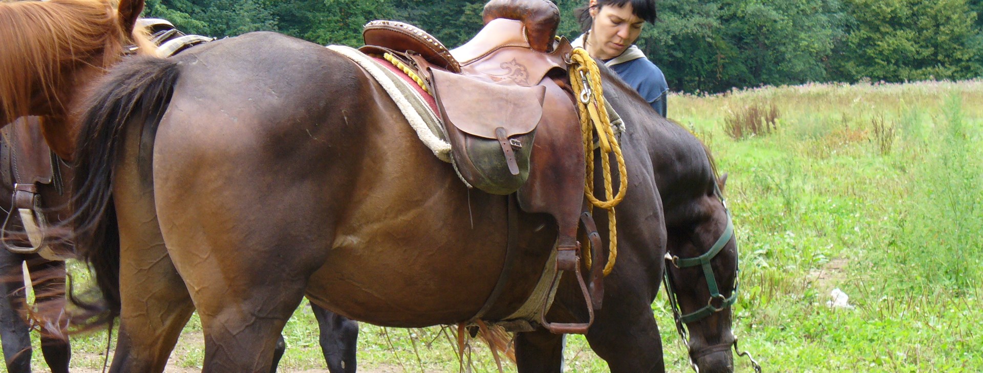 Putování na koních pro mírně pokročilé - Kozákov