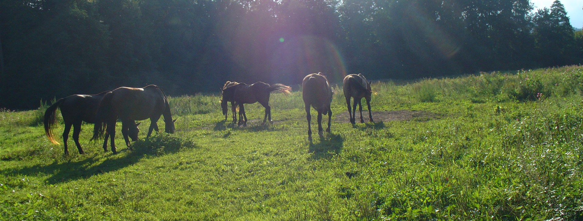 Vandr na koních pro zkušené jezdce