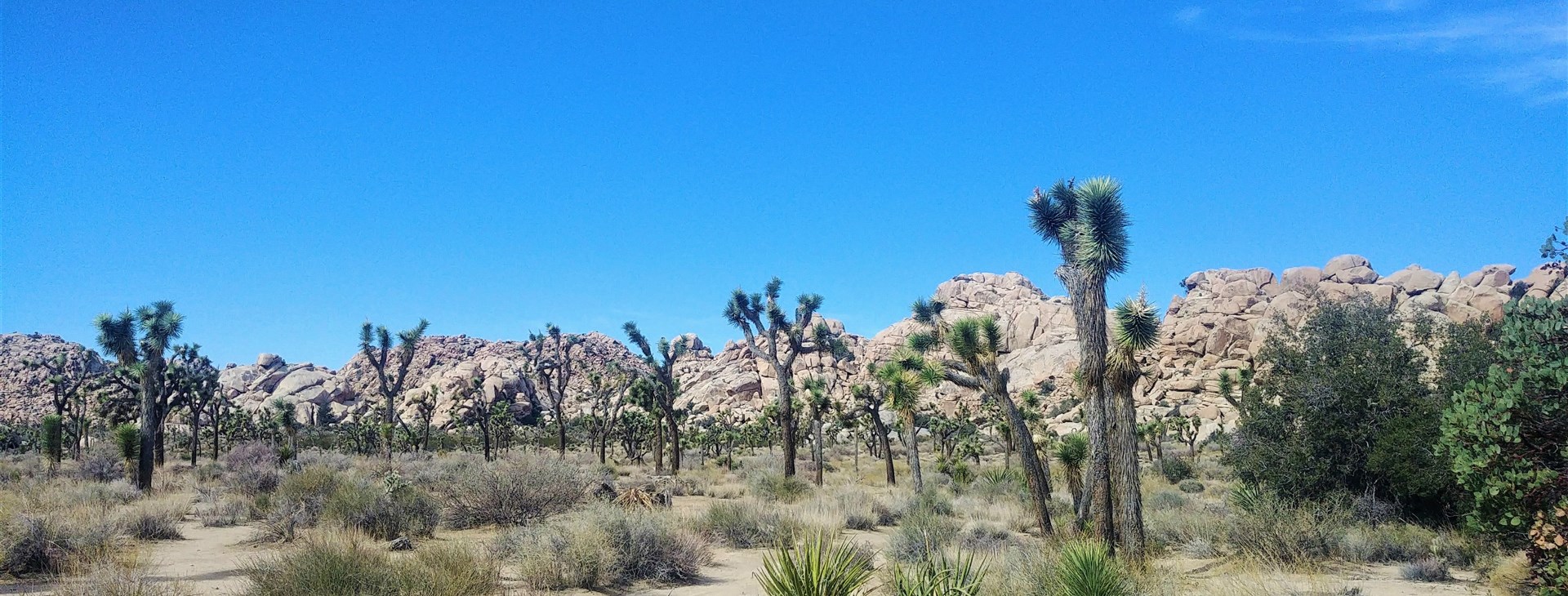 Road trip jihozápadem USA