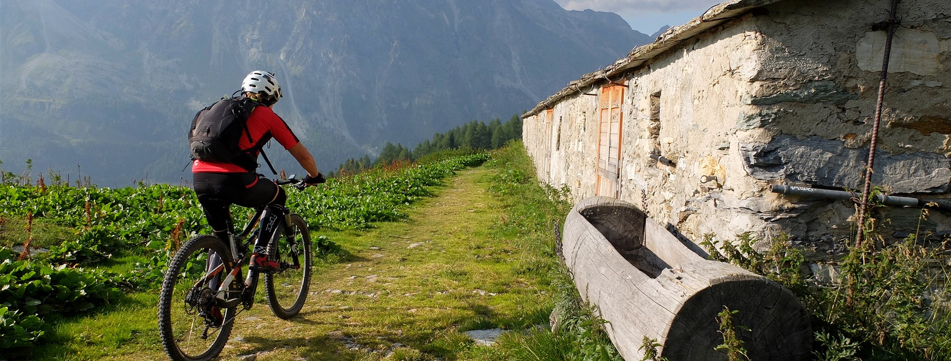 Autor: Aleš Linhart