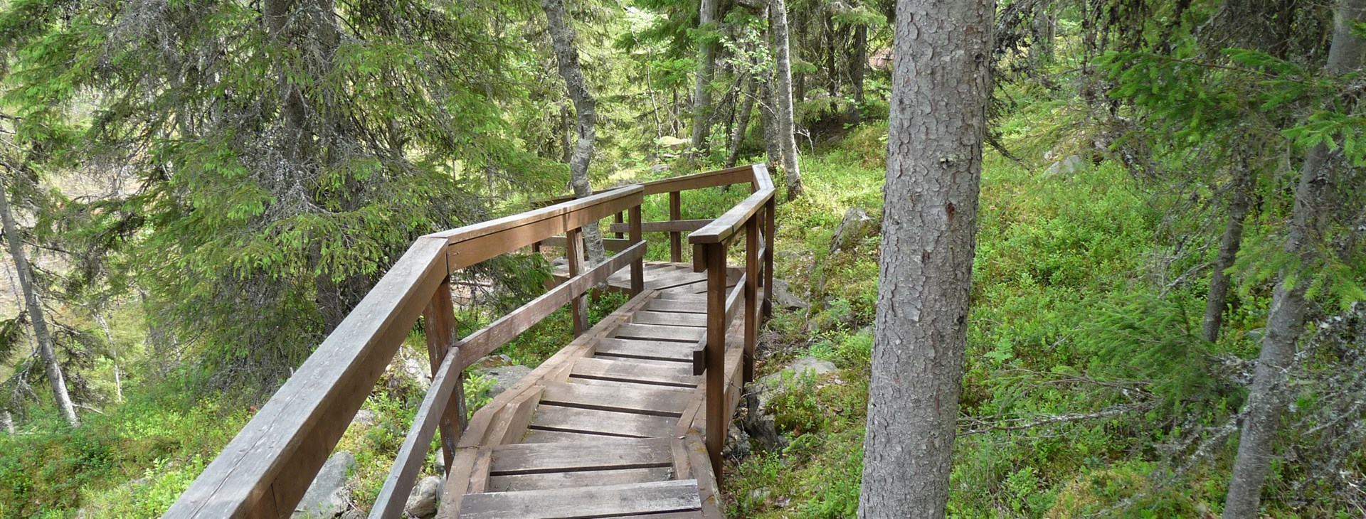 autor: Václav "Culis" Culka