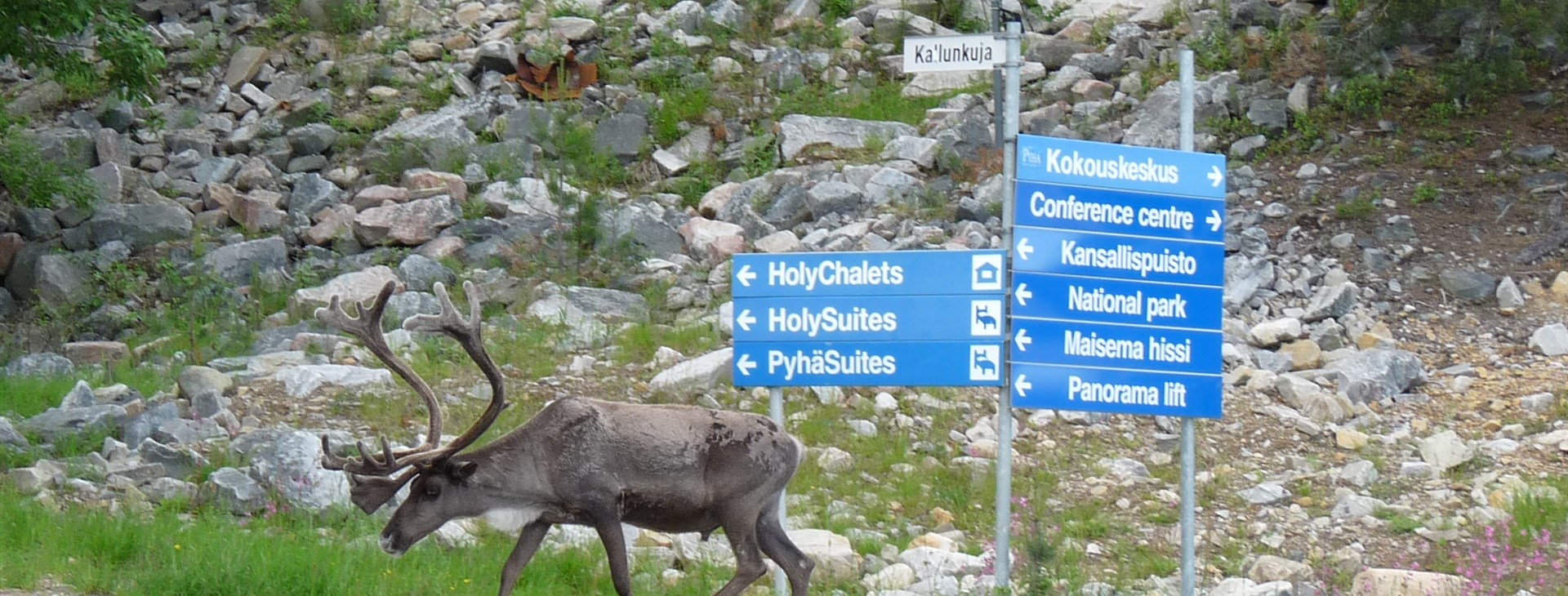 autor: Václav "Culis" Culka