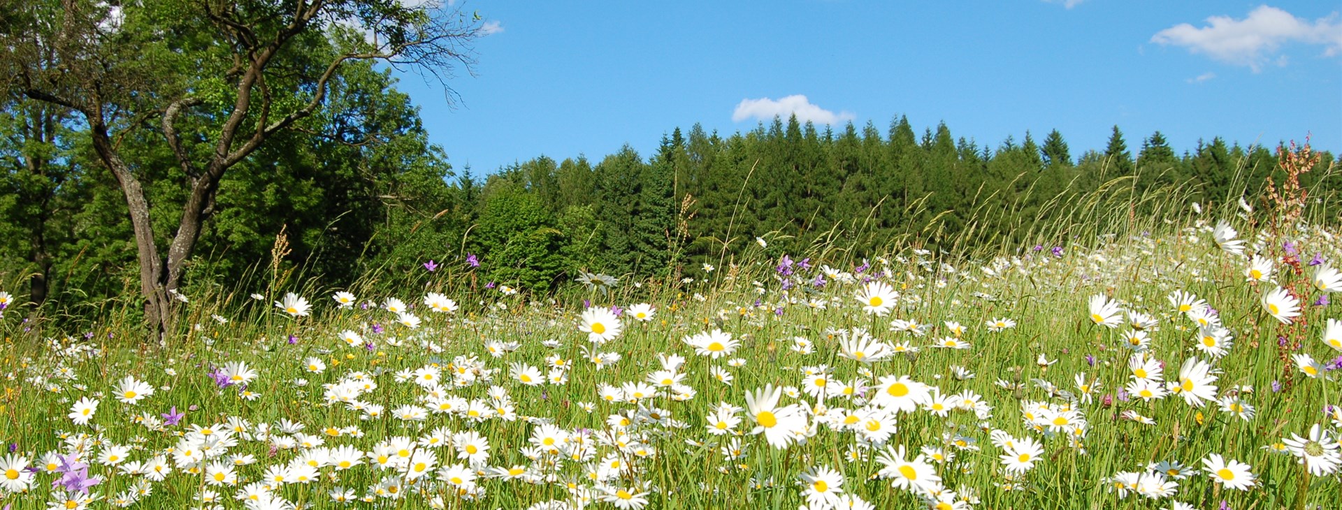14 "osmitisícovek" Vysočiny na kole
