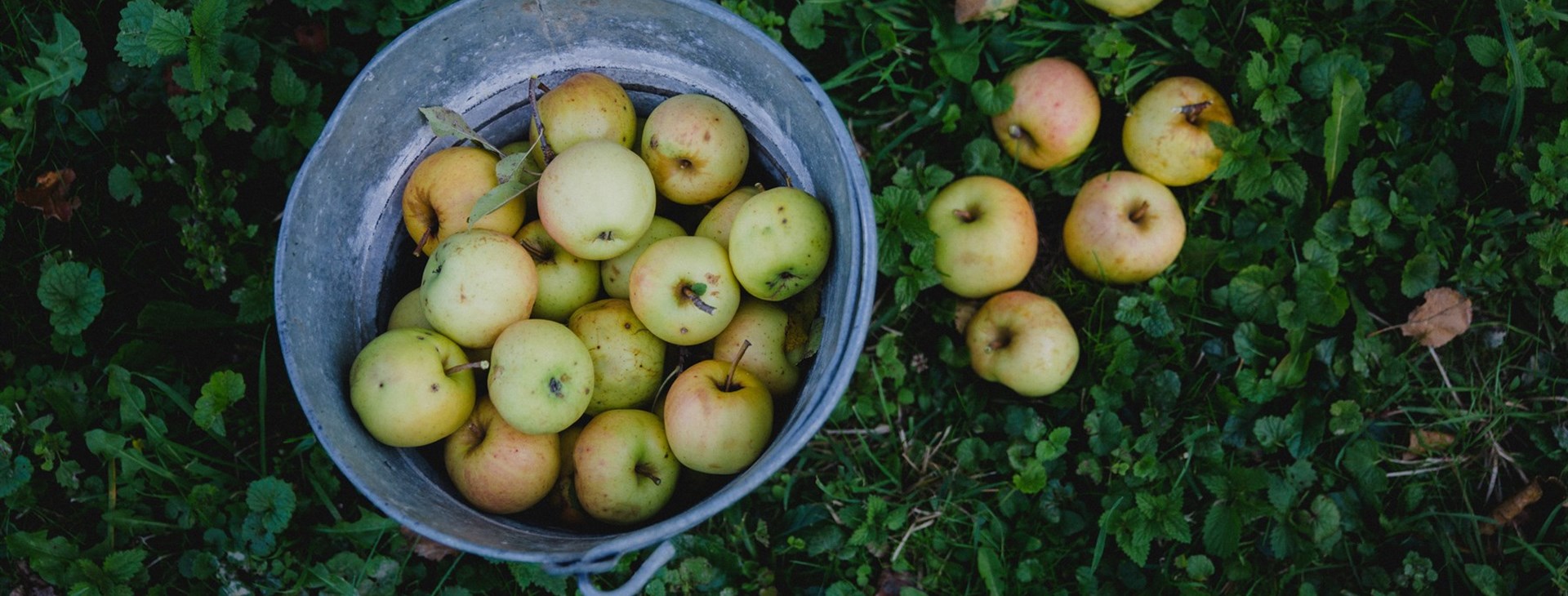 Putovný fotoworkshop po kraji mýtů a bájí na Slovensku