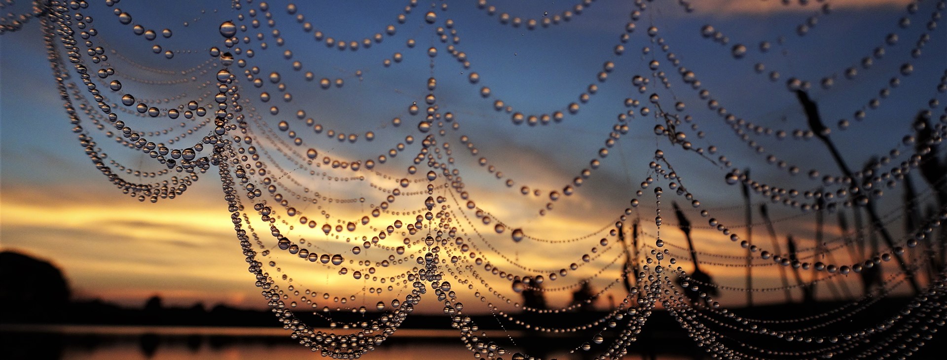 Foto: Marie Špilauerová