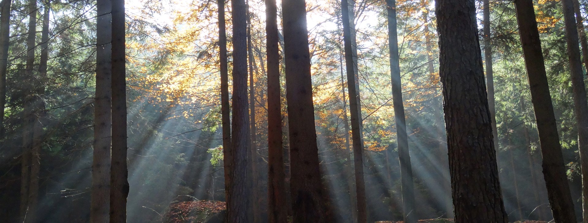 Foto: Marie Špilauerová