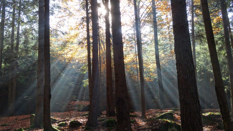 Přechod Novohradských hor nalehko