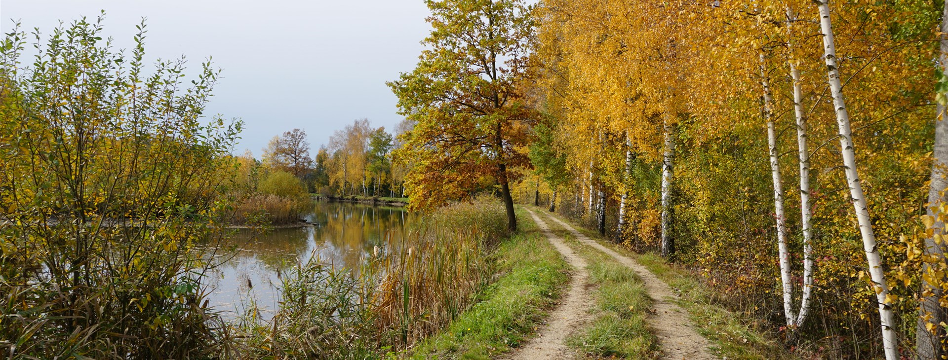 Foto: Marie Špilauerová
