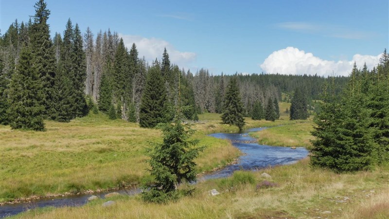 Napříč Šumavou