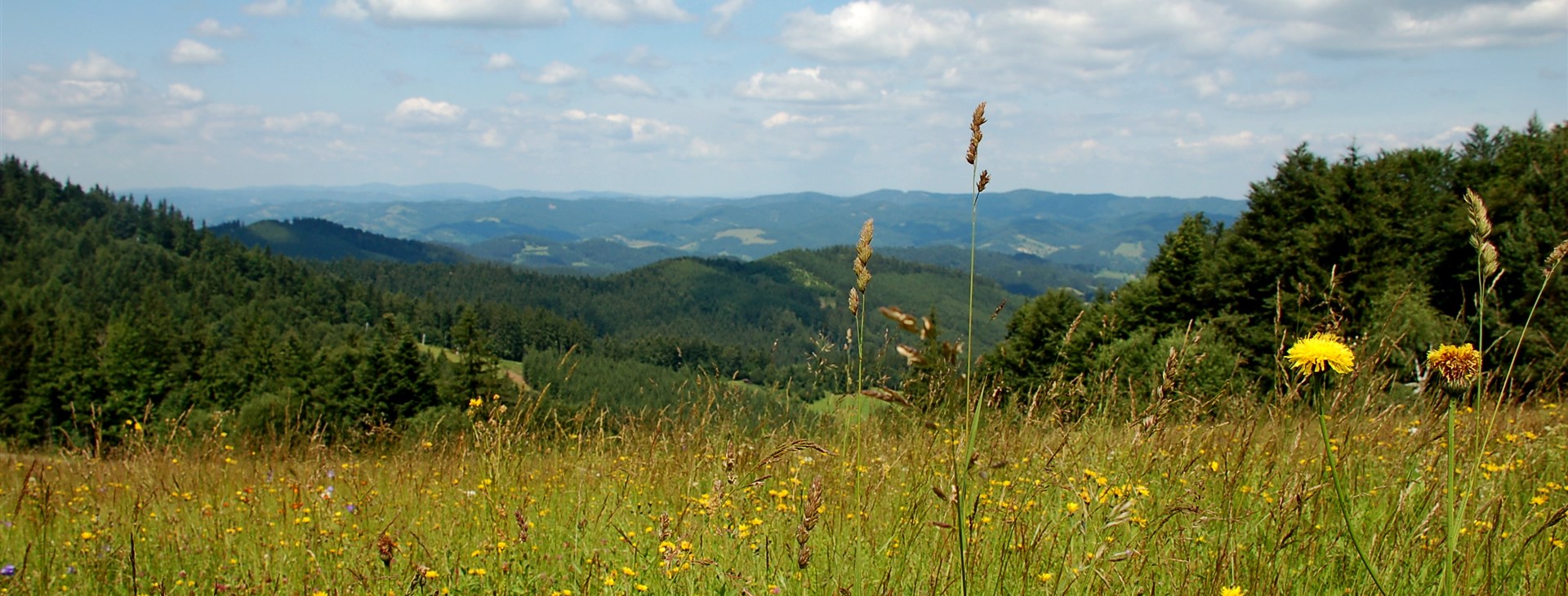 Autor: Tomáš Ochma Procházka