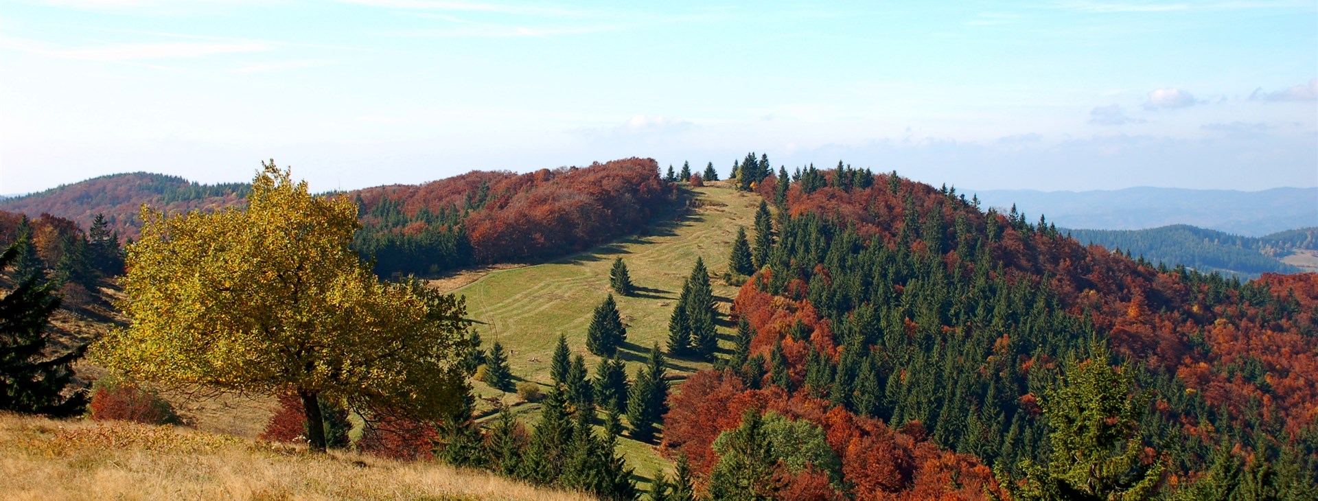 Autor: Tomáš Ochma Procházka