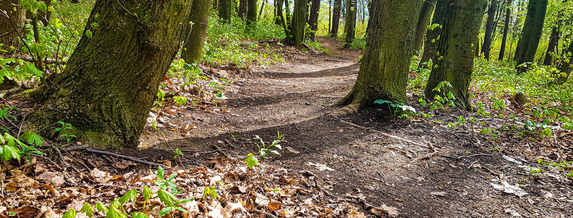Ke kořenům bajkování do Bílých Karpat