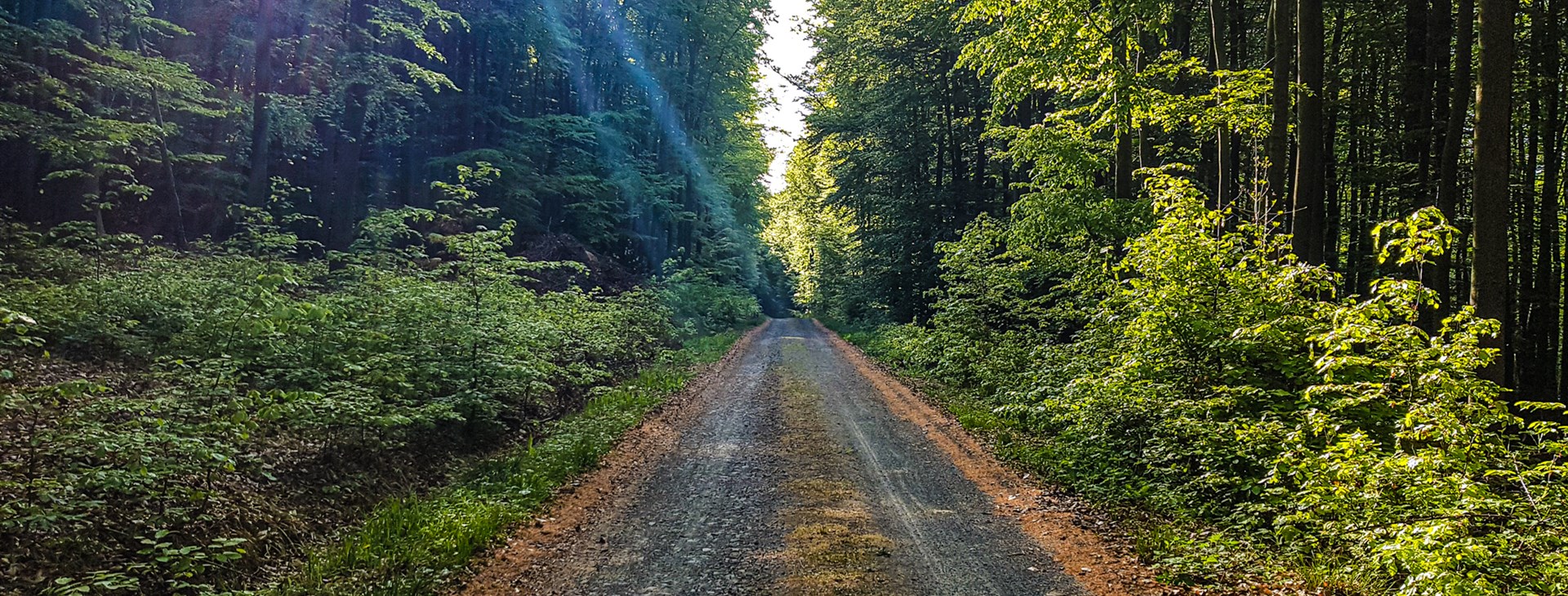 Ke kořenům bajkování do Bílých Karpat