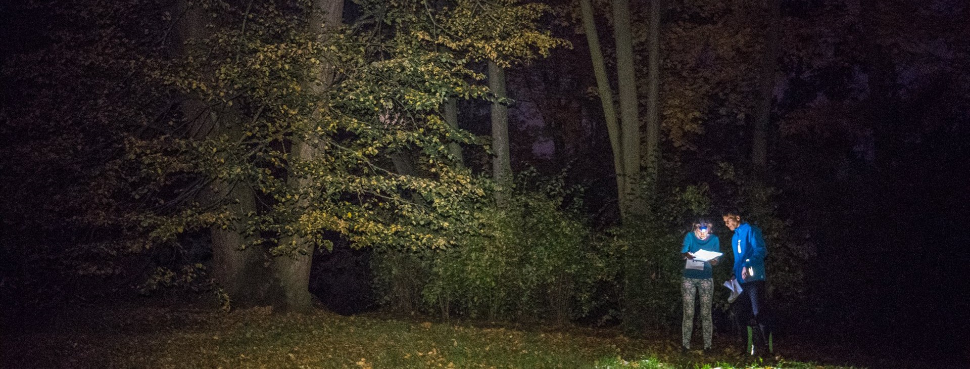 Dobronice - autor: Ondřej Vosecký