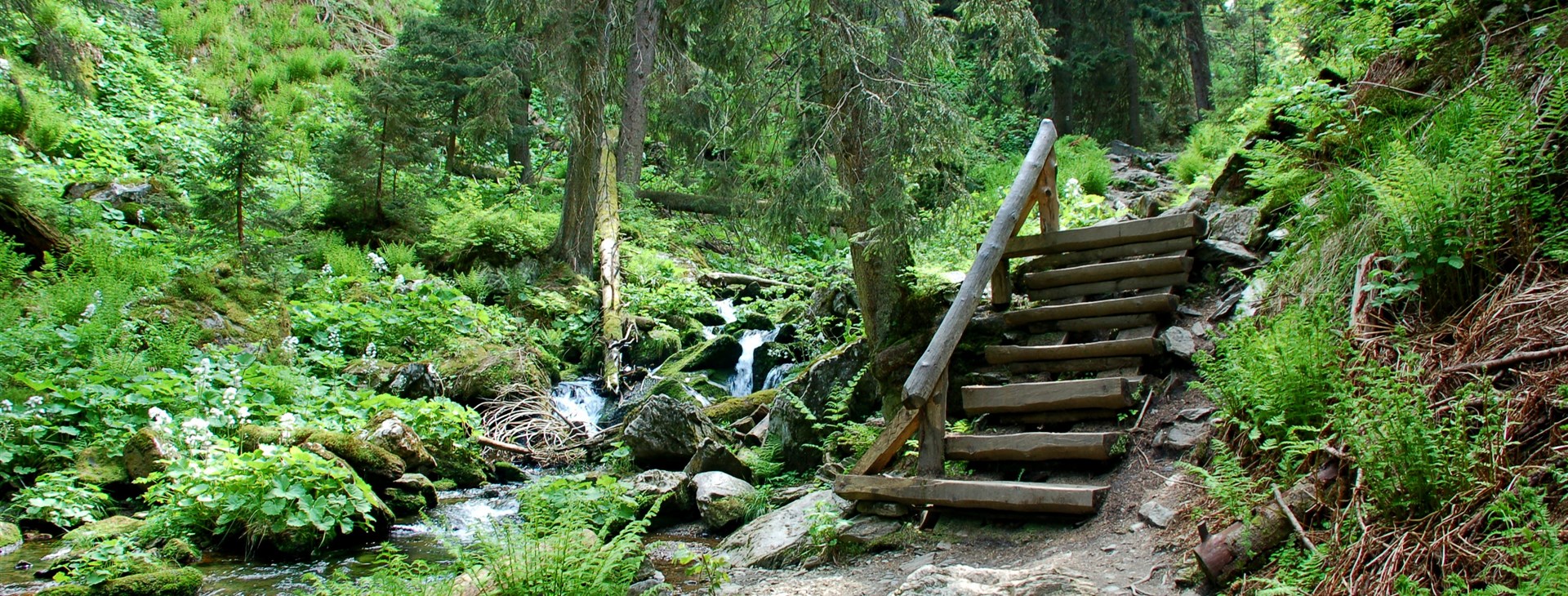 Pat a Mat jedou do Jeseníků