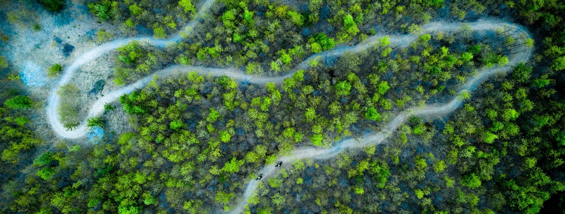 Nové flow traily pod Travičnou - autor: www.trailoflife.cz