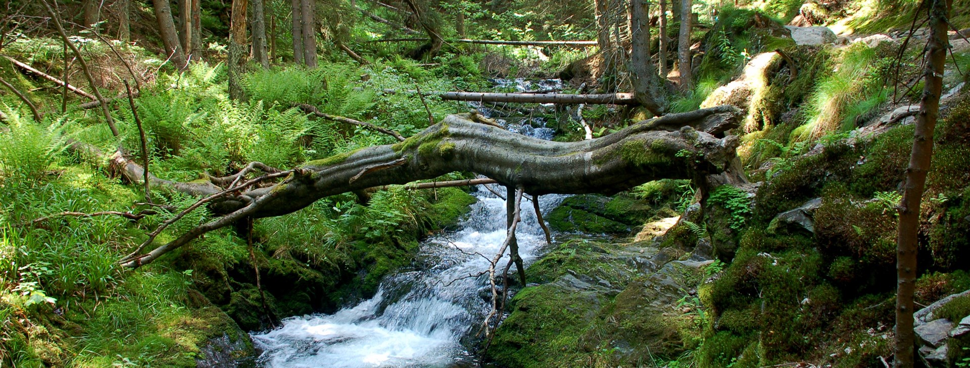 Hrubý Jeseník cyklo