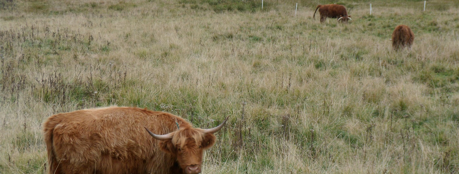 Hrubý Jeseník cyklo