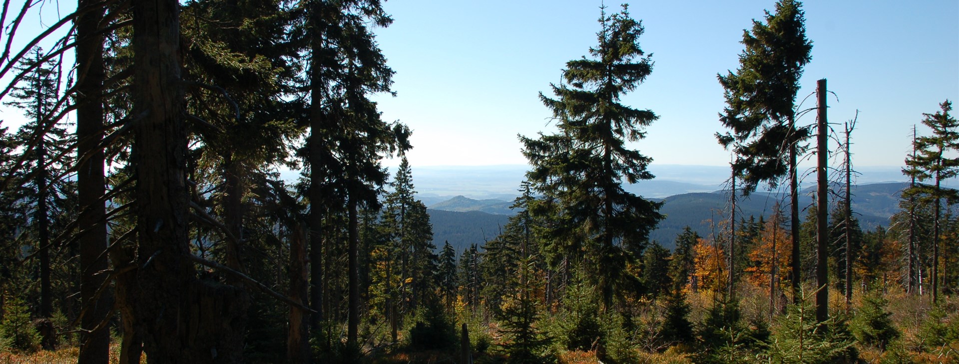 Hrubý Jeseník turisticky