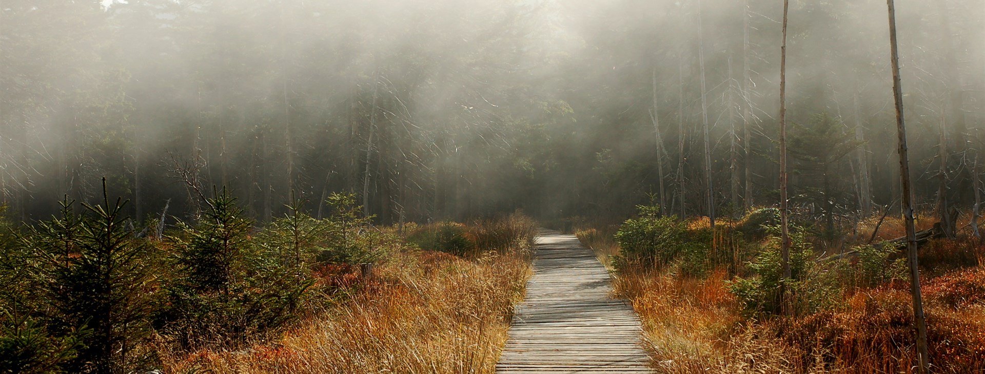 Hrubý Jeseník turisticky