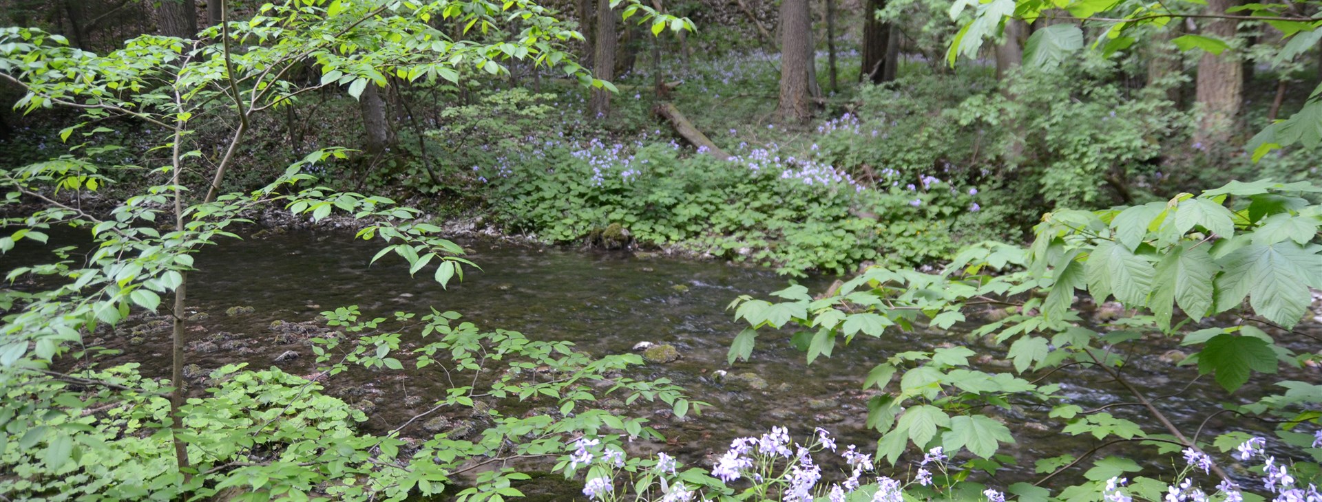 Letem světem - Willy Fog a cesta kolem světa za 80 dní