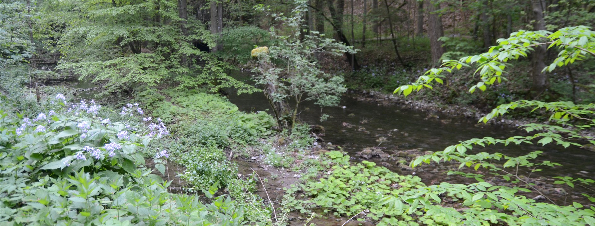 Letem světem - Willy Fog a cesta kolem světa za 80 dní
