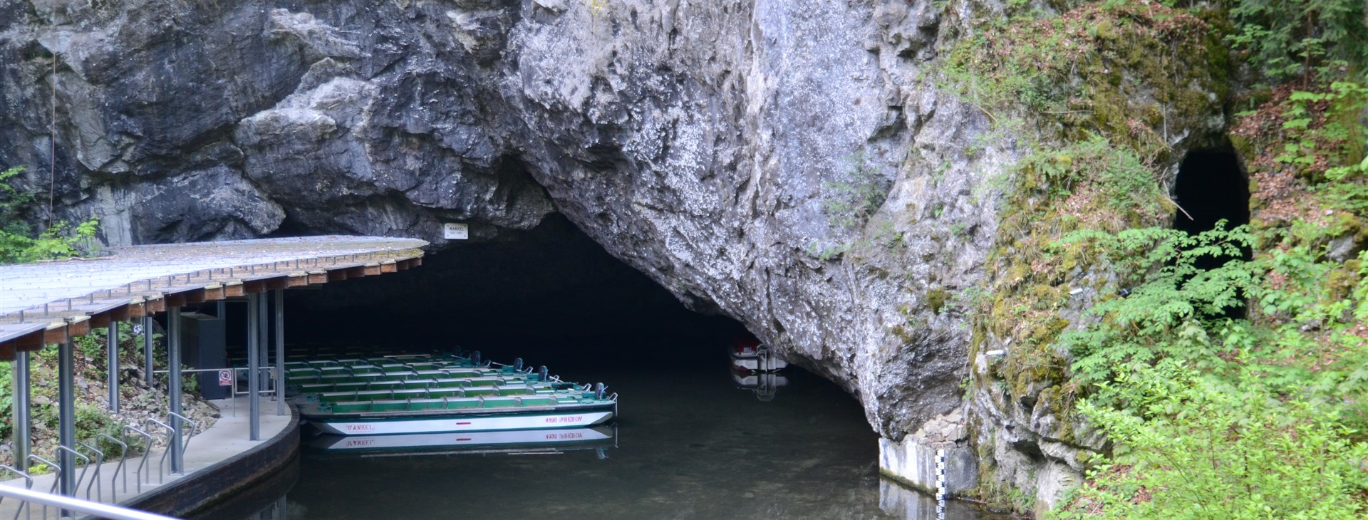 Letem světem - Willy Fog a cesta kolem světa za 80 dní