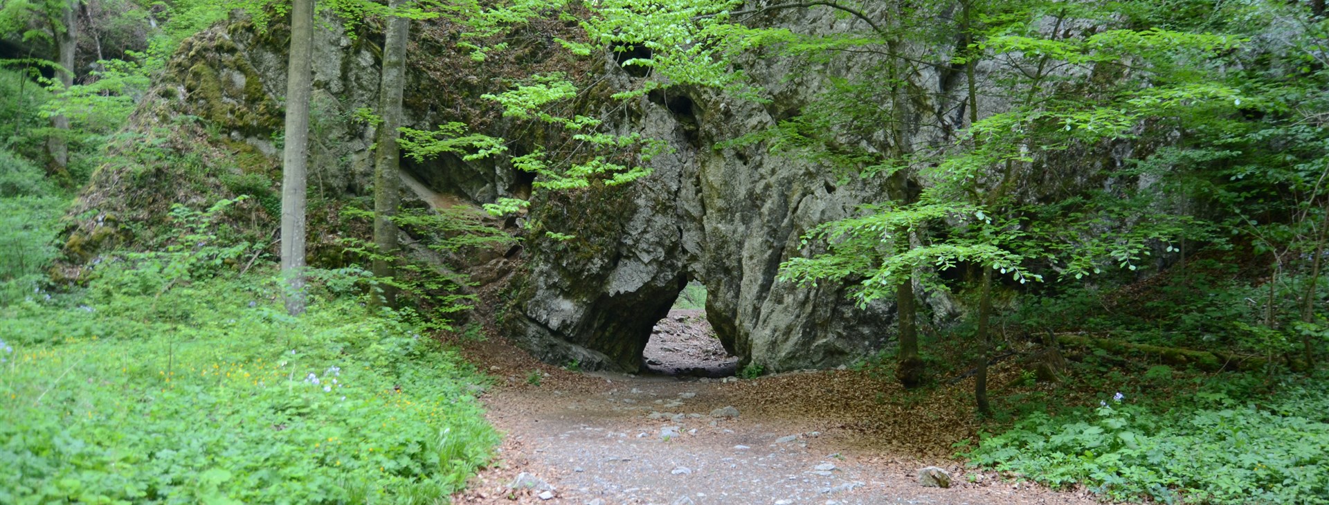 Letem světem - Willy Fog a cesta kolem světa za 80 dní