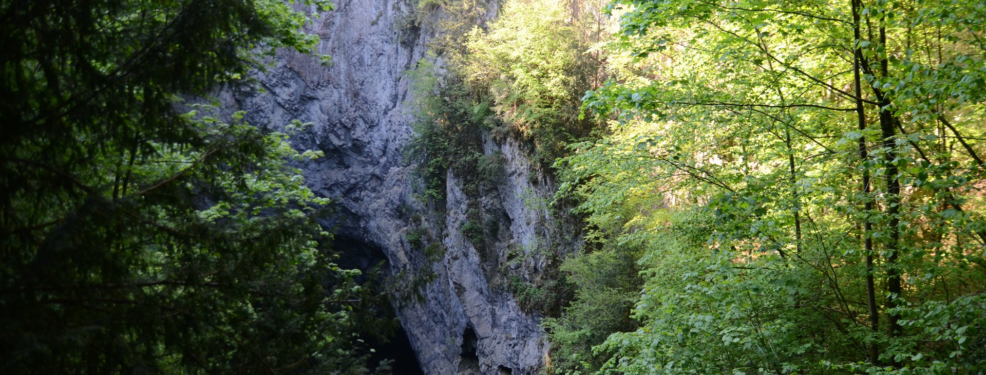 Letem světem - Willy Fog a cesta kolem světa za 80 dní