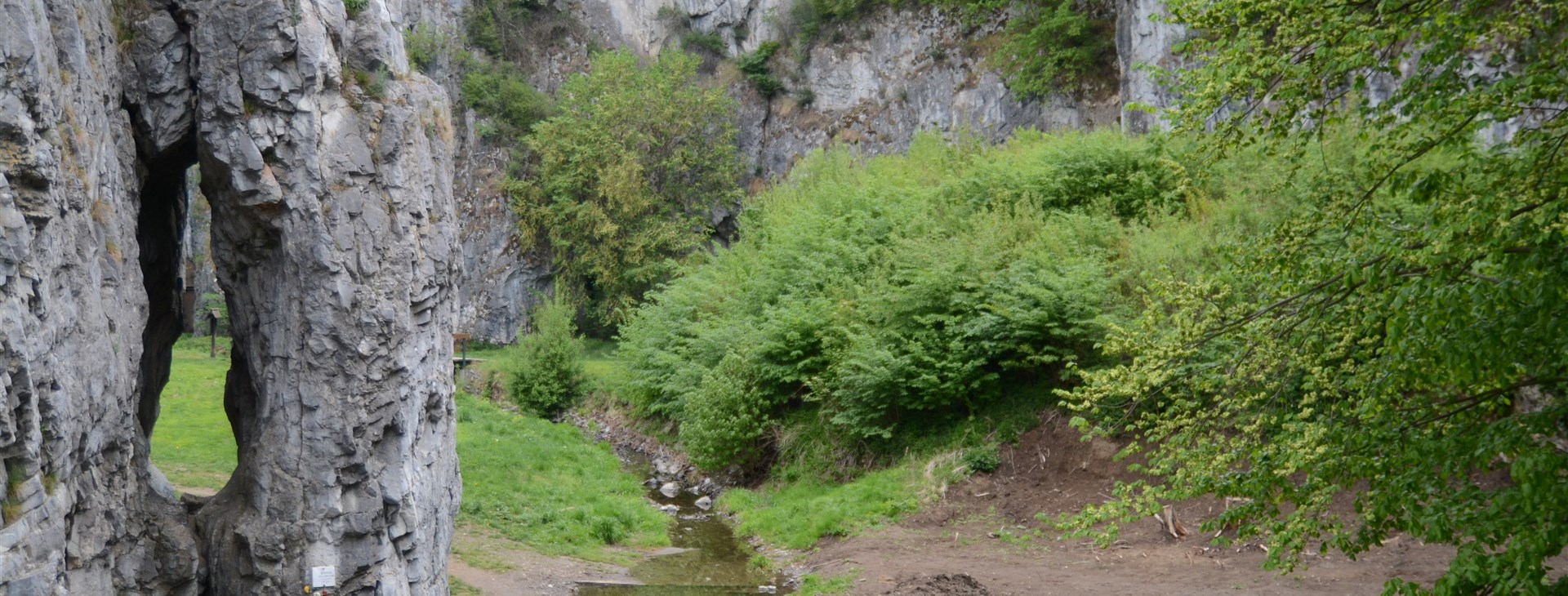 Letem světem - Willy Fog a cesta kolem světa za 80 dní
