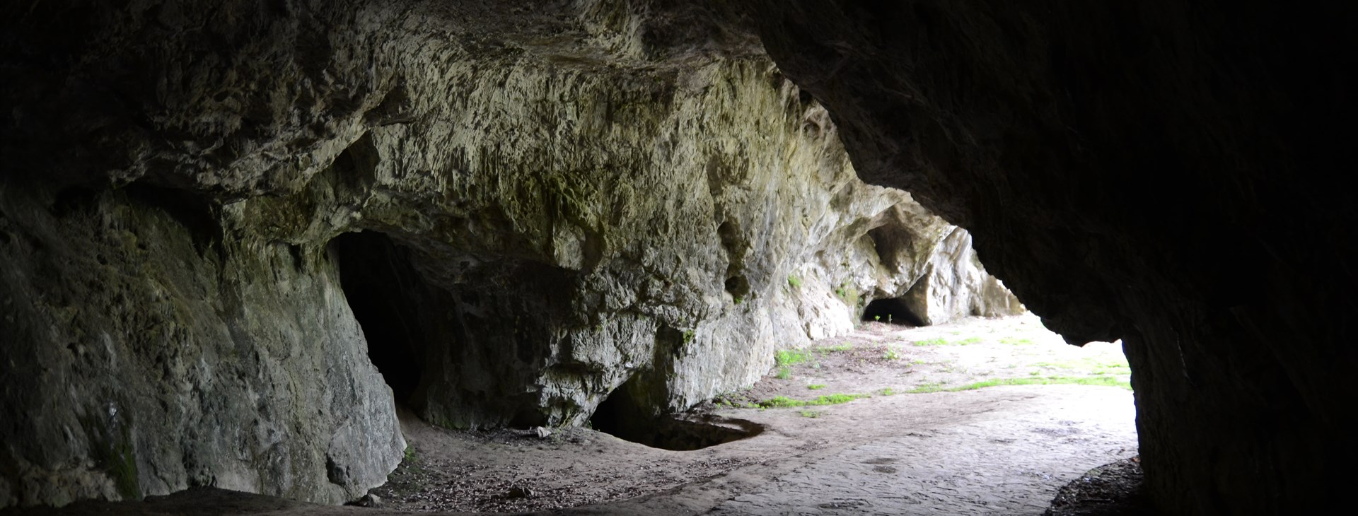 Letem světem - Willy Fog a cesta kolem světa za 80 dní