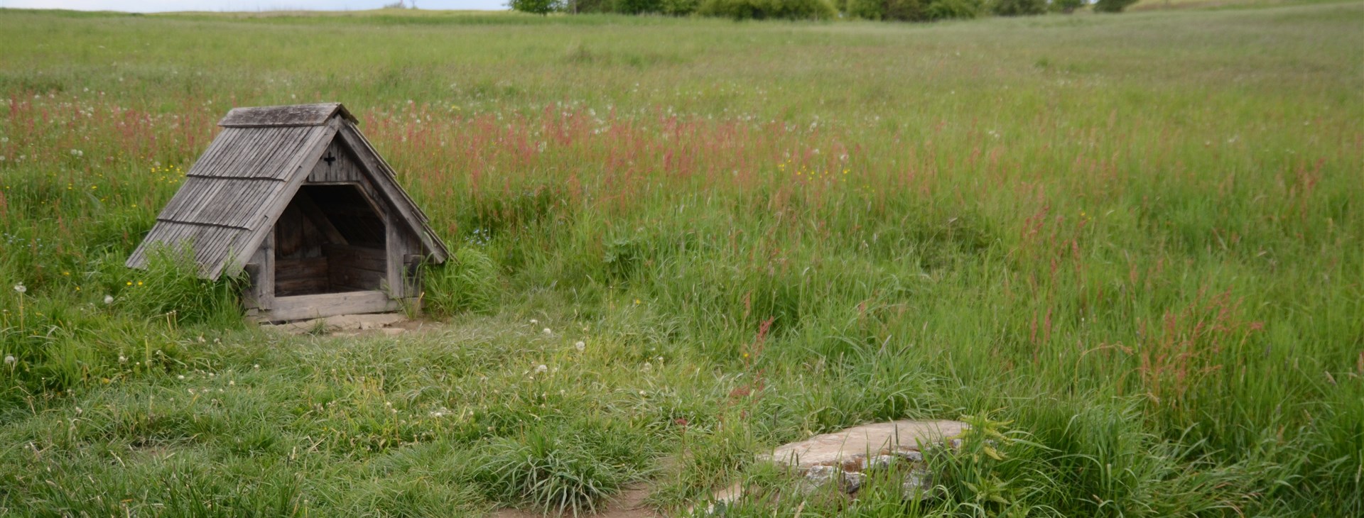 Letem světem - Willy Fog a cesta kolem světa za 80 dní