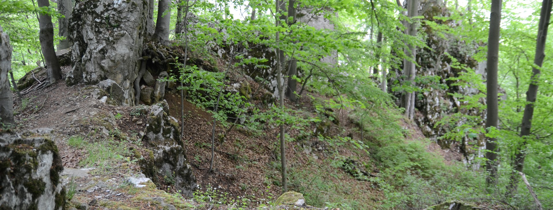 Letem světem - Willy Fog a cesta kolem světa za 80 dní