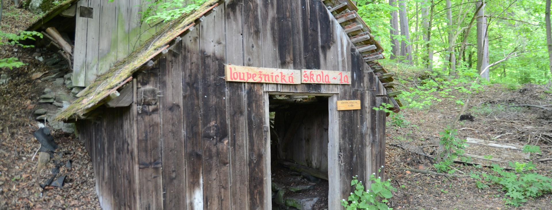 Letem světem - Willy Fog a cesta kolem světa za 80 dní