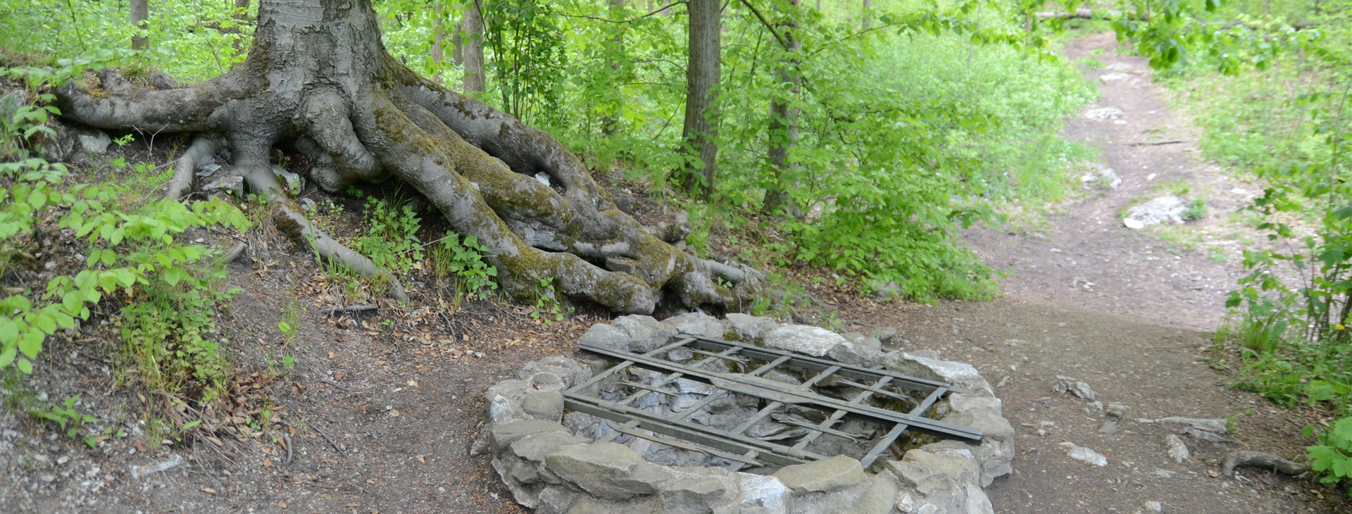 Letem světem - Willy Fog a cesta kolem světa za 80 dní