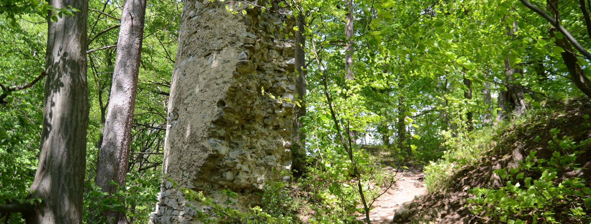 Letem světem - Willy Fog a cesta kolem světa za 80 dní