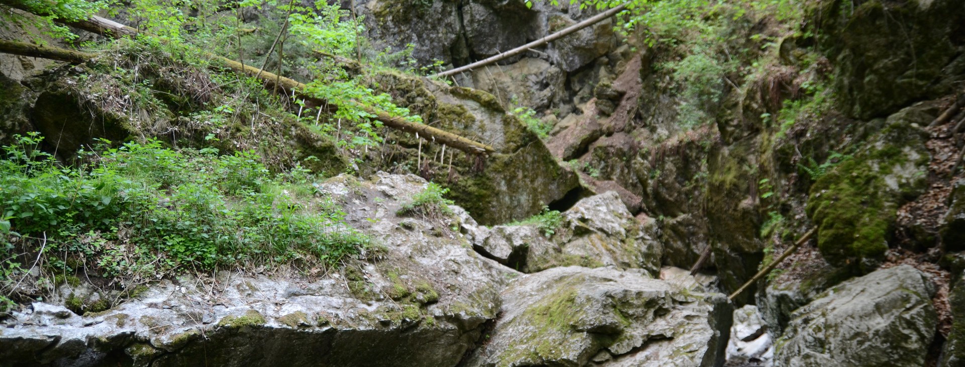 Letem světem - Willy Fog a cesta kolem světa za 80 dní