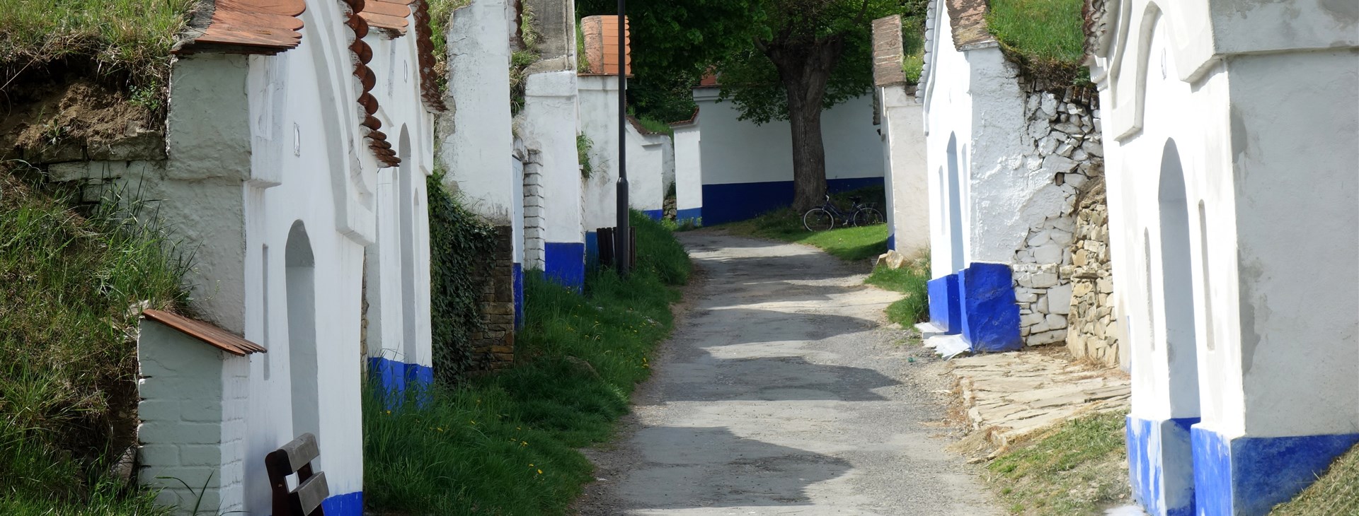 Autor: Táňa Zavřelová