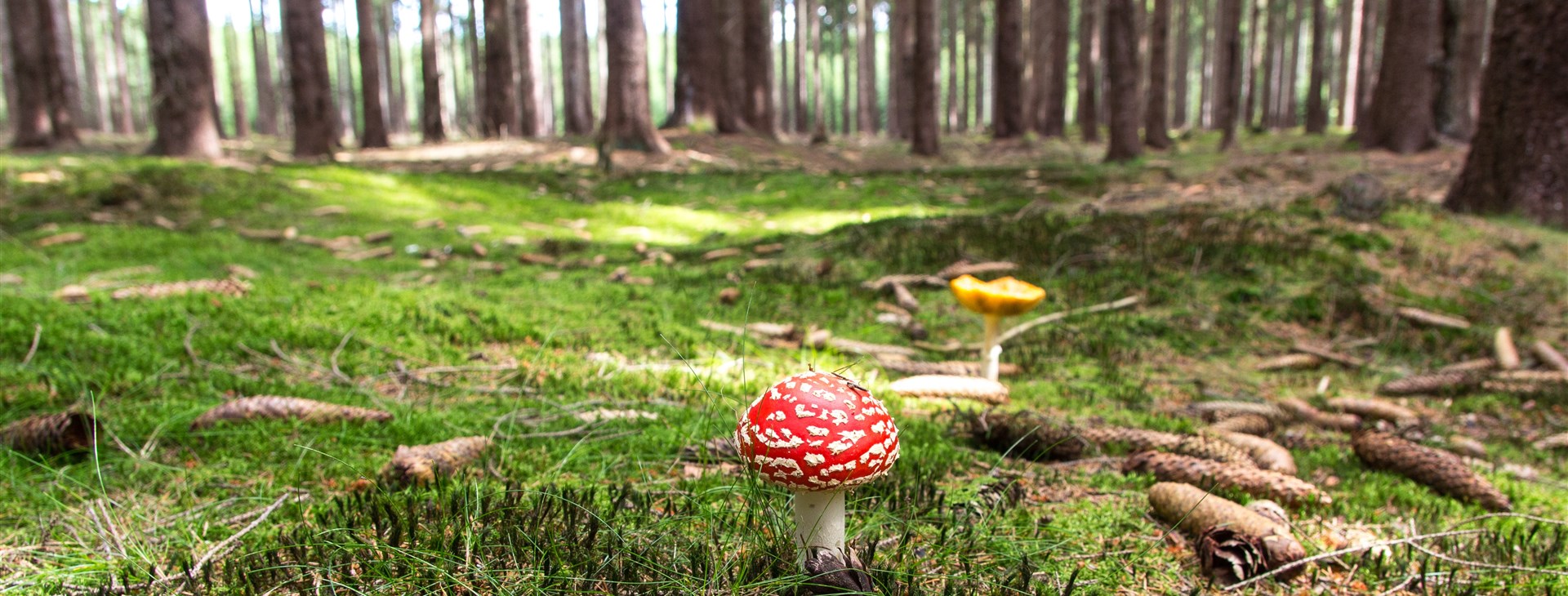 Za kamenem štěstí do Lužických hor