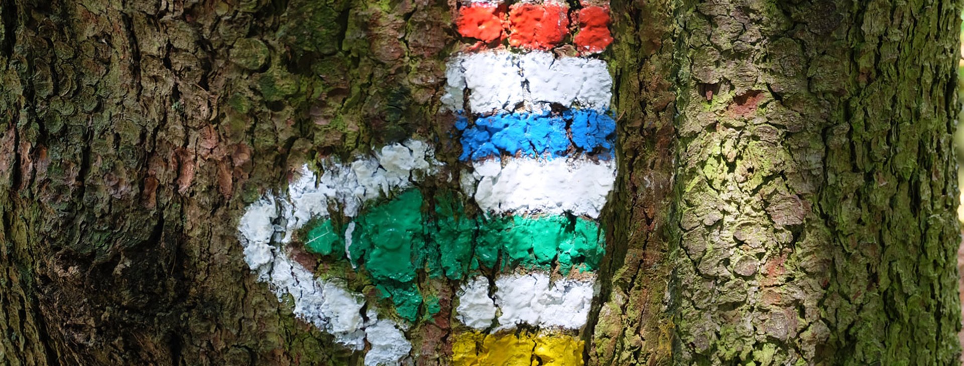 Jizerské hory aneb Pekelské pěší stezky