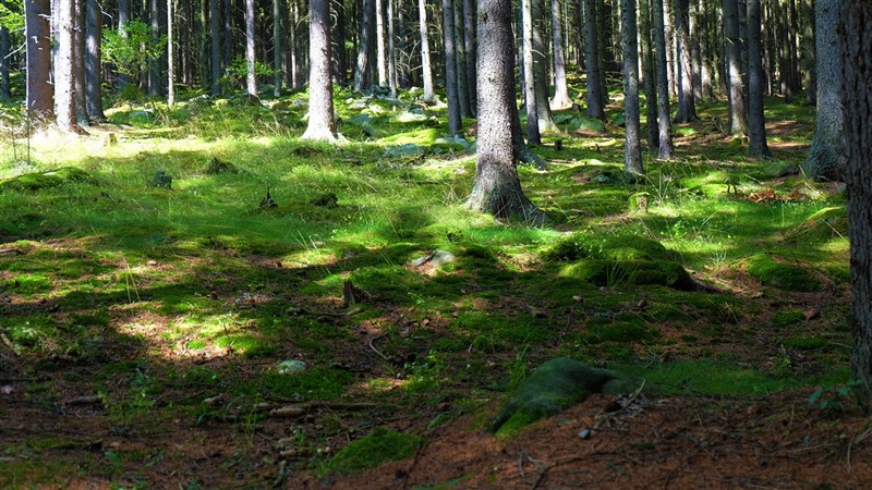 Jizerské hory aneb Pekelské cyklostezky