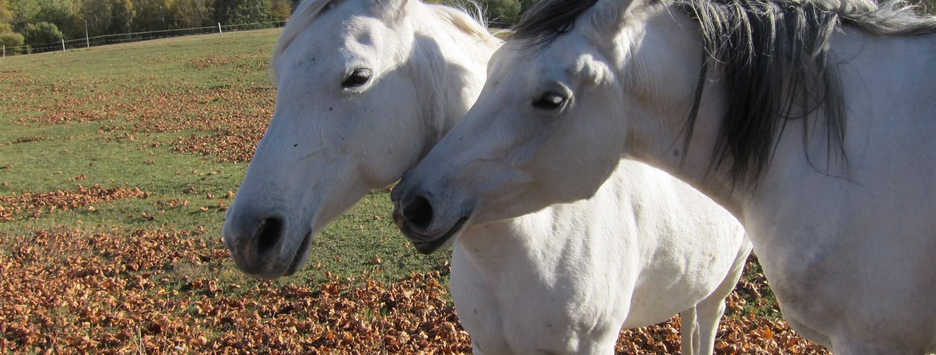 Jizerské hory aneb Pekelské cyklostezky