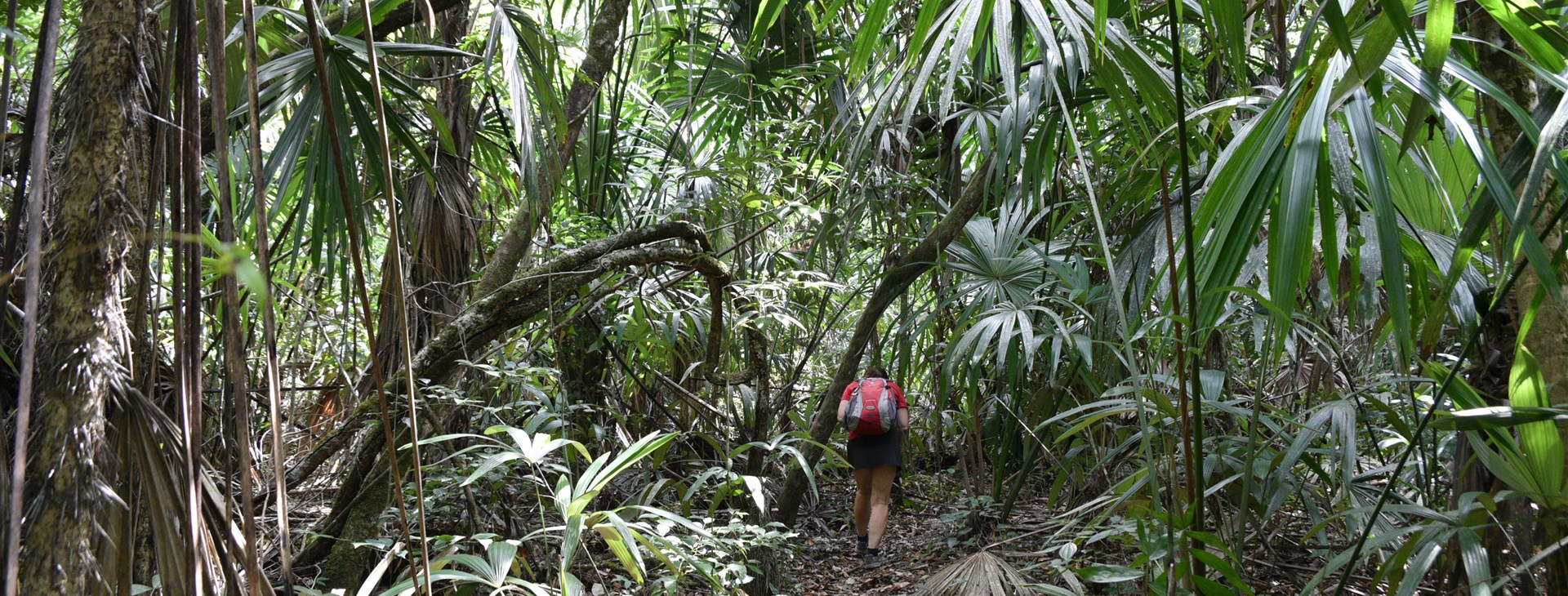 Guatemala, Honduras a Belize
